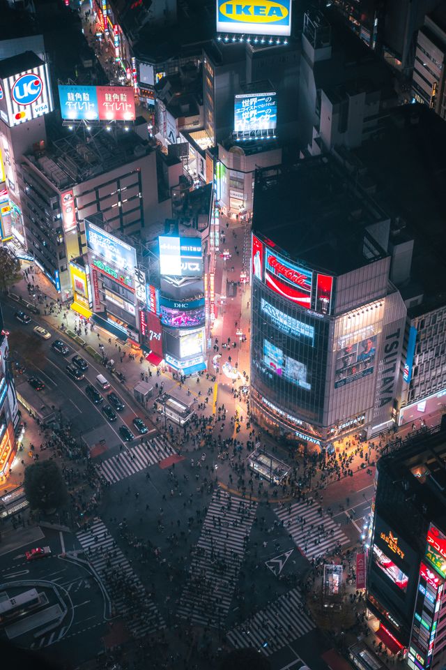 Things to Do in Shibuya: Complete Local Guide for First-Time Visitors (2026)